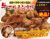 牛ホルモン唐揚げ　味付肉(加熱済み)　60個前後(480gタレ含む)　ホルモン煮込み